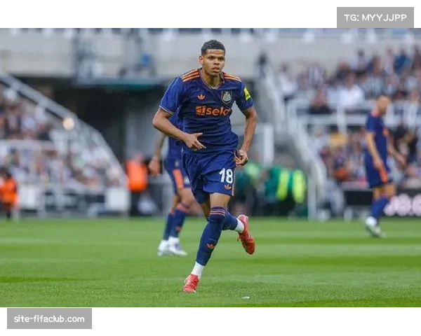 法兰克福前锋埃布努塔利布受伤 自一月中旬处于伤停状态 法兰克福前锋埃布努塔利布受伤 自一月中旬处于伤停状态